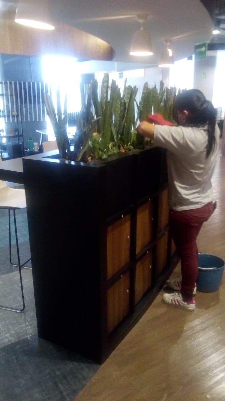 JARDINERÍA ESPECIALIZADA VEGA