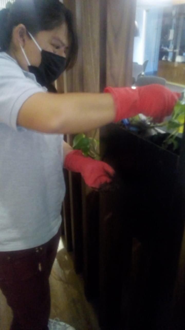 JARDINERÍA ESPECIALIZADA VEGA