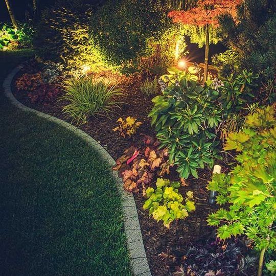 JARDINERÍA ESPECIALIZADA VEGA