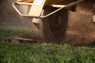A yard receiving stump removal services in Jackson, NJ