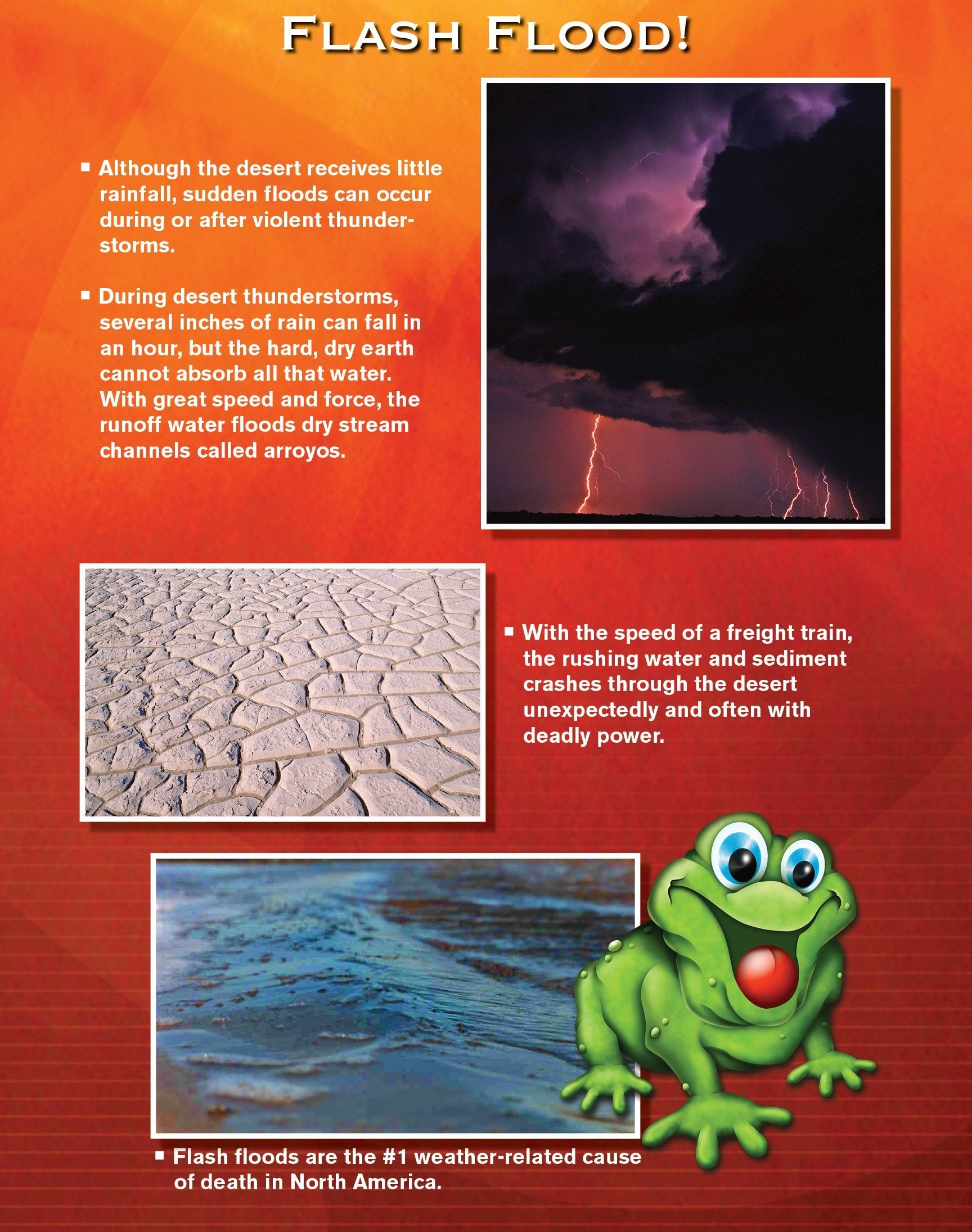Flash flood warning poster with photos of a thunderstorm, cracked earth, and a flooded desert, plus a cartoon frog.