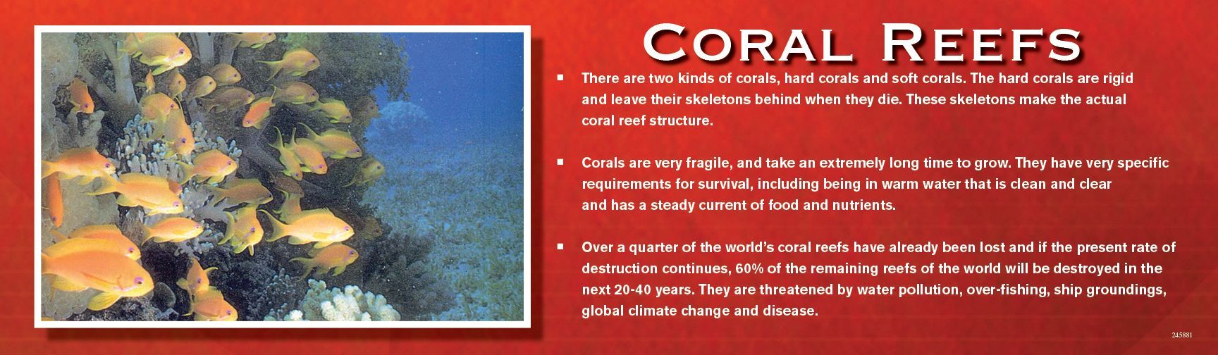 Coral reef with orange fish swimming, on a red background with text.