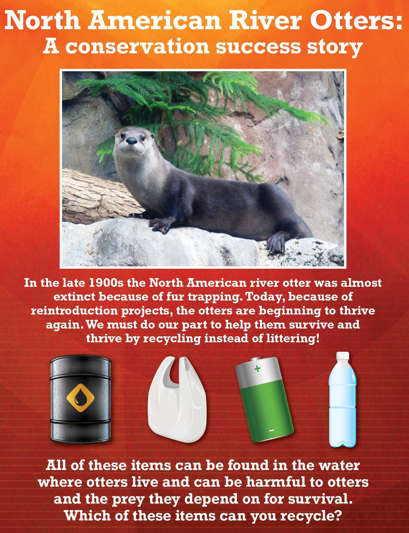 Poster about North American river otters. Otter photo, conservation message, and icons of recyclable items.