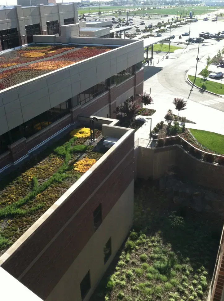 An aerial view of a building with a green roof