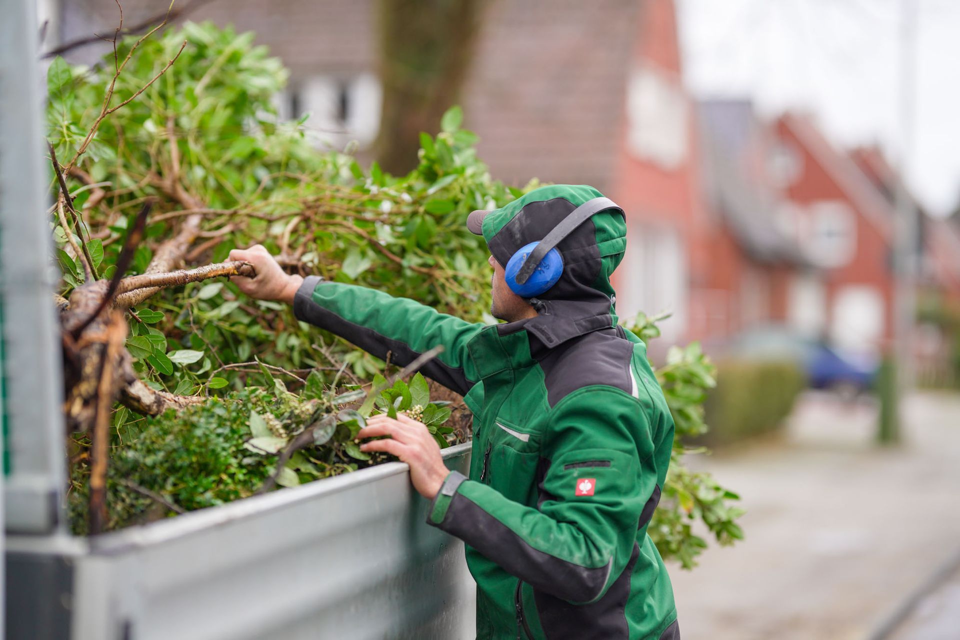 Baumpflege – fachgerechte Arbeit am Baum