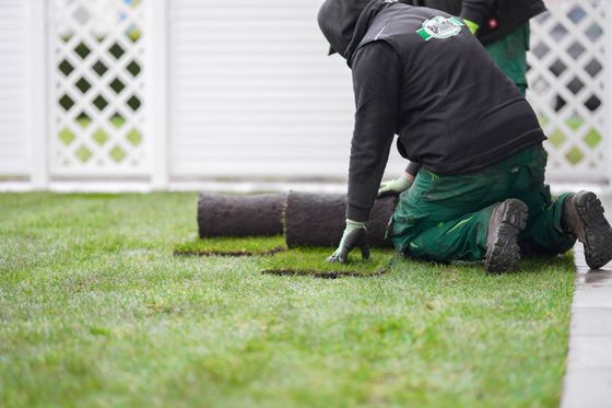 Belling Garten- & Landschaftsservice - Rollrasen verlegen