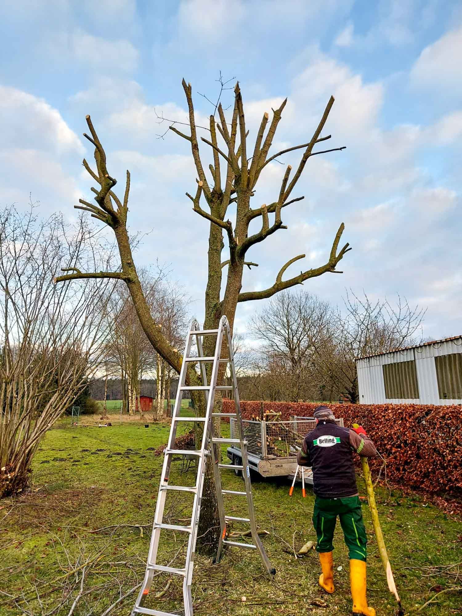 Arbeiten im Außenbereich – Garten- und Landschaftsbau