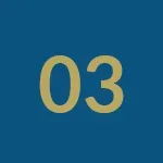 The number 03 is on a blue background.