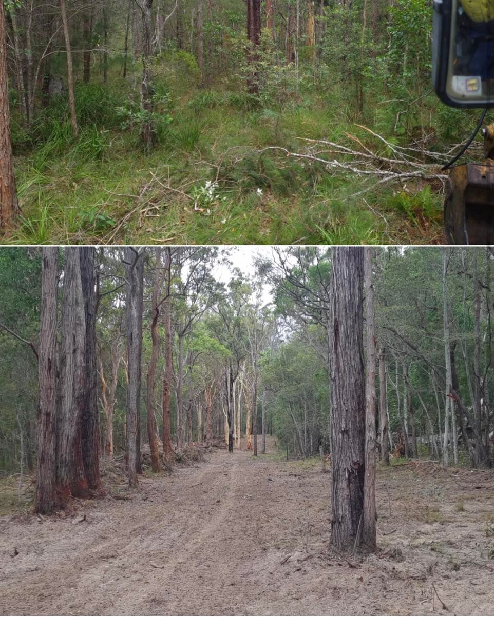 Excavator on Clearing Operation - Professional Earthmovers in Grafton, NSW