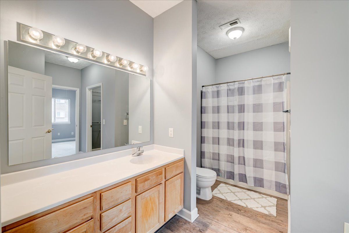 A bathroom with a toilet , sink , mirror and shower curtain.
