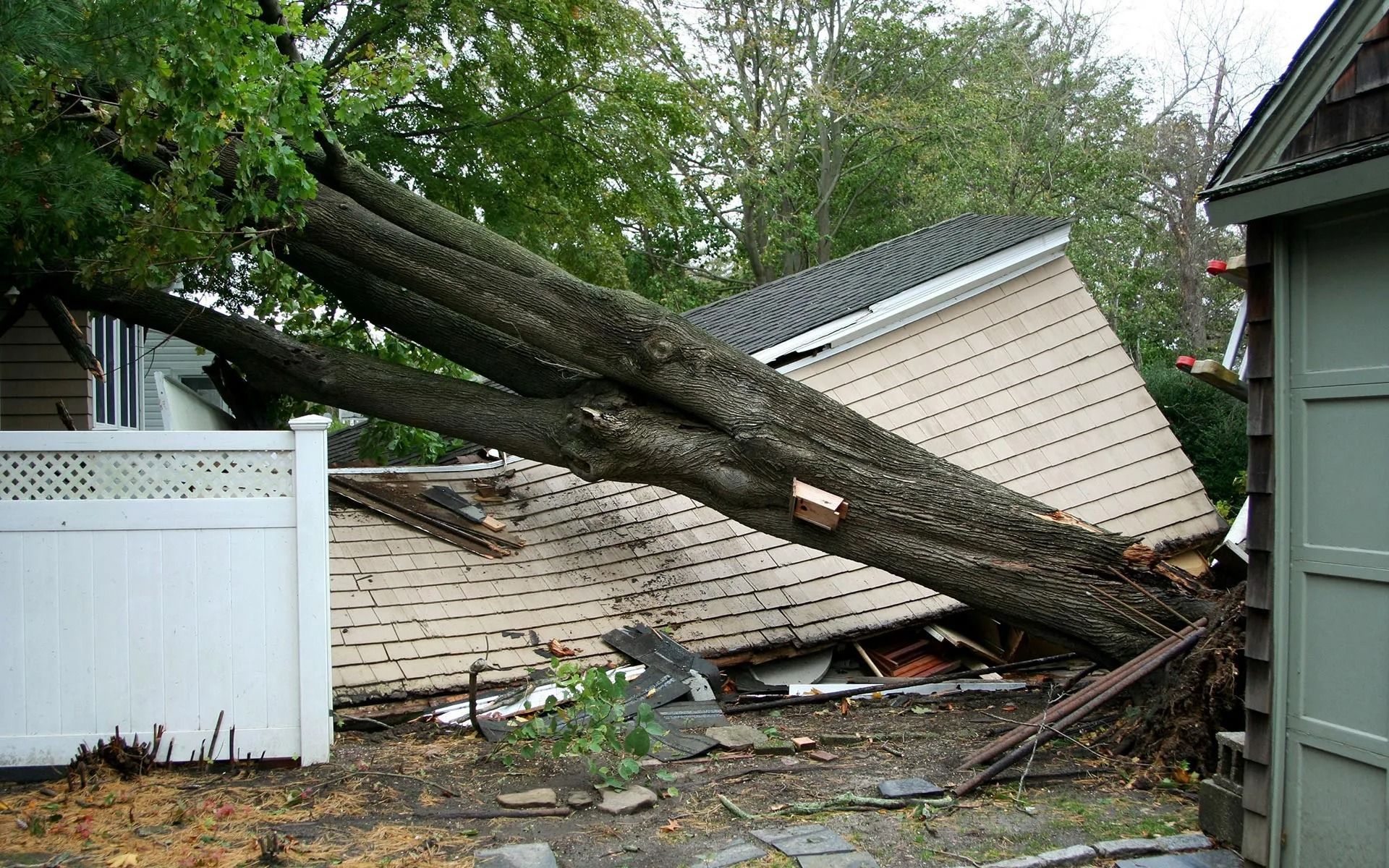 Tree fallen on a house, roof damaged. White fence, green siding, overcast sky.