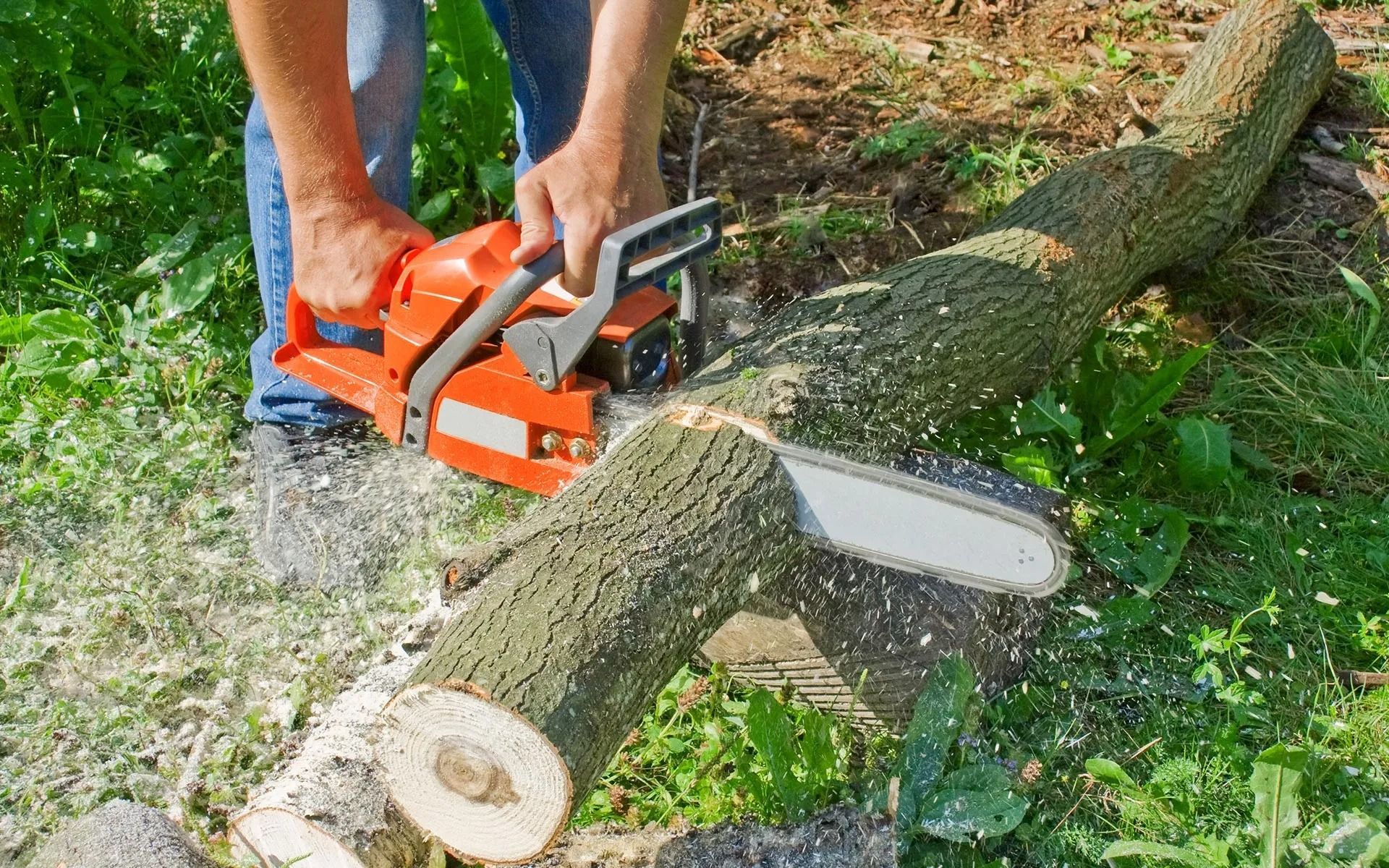 Person using an orange chainsaw to cut a log outdoors; sawdust flying.