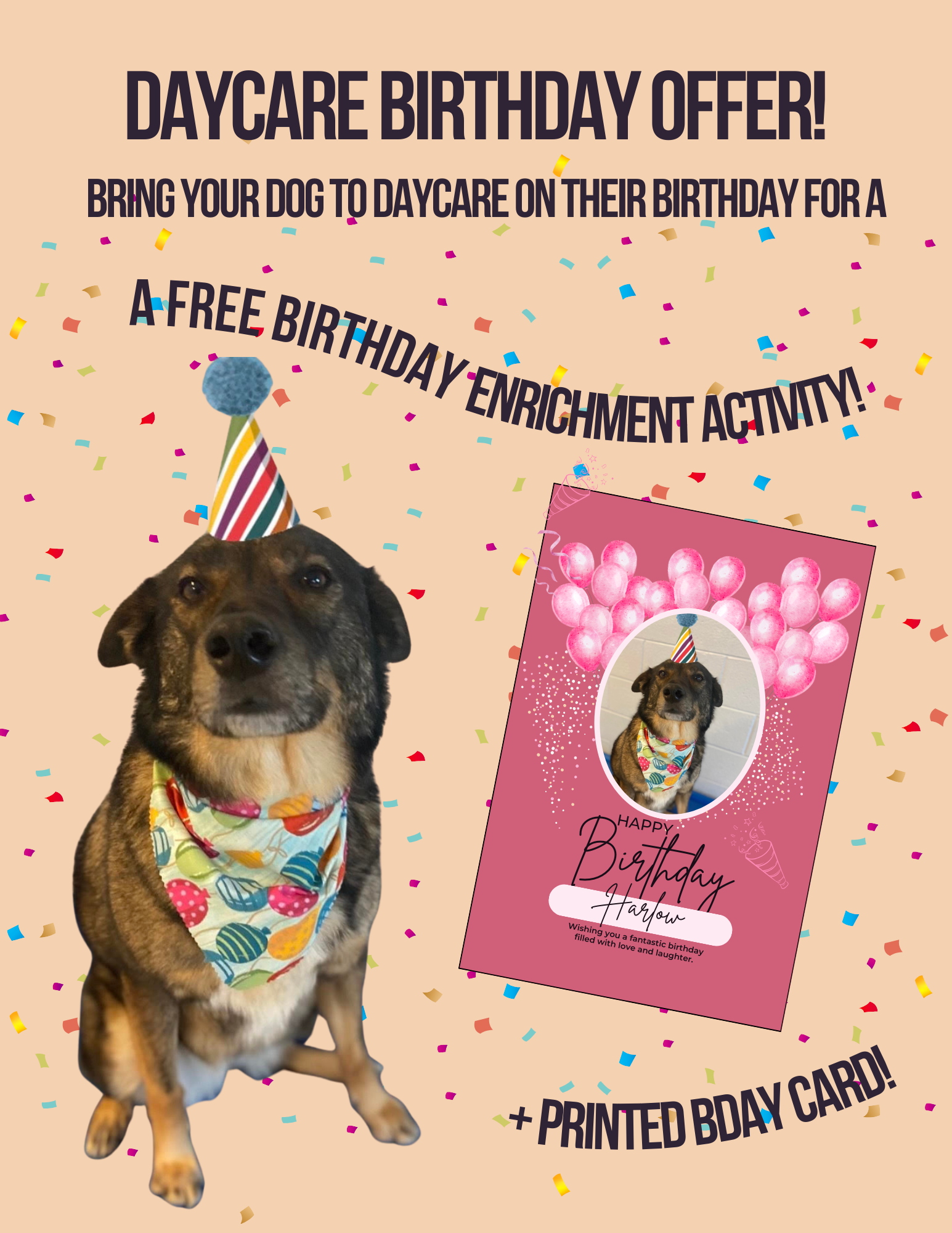 Bday offer