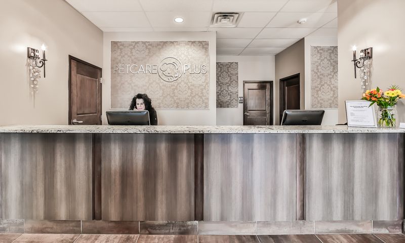 A woman is sitting at a reception desk at pet care plus resort & spa