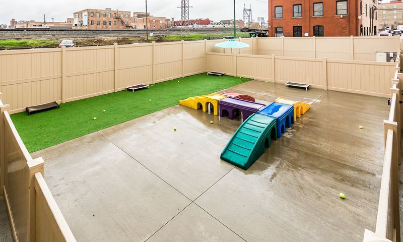 A large play yard with a fence and a playground for dog daycare.