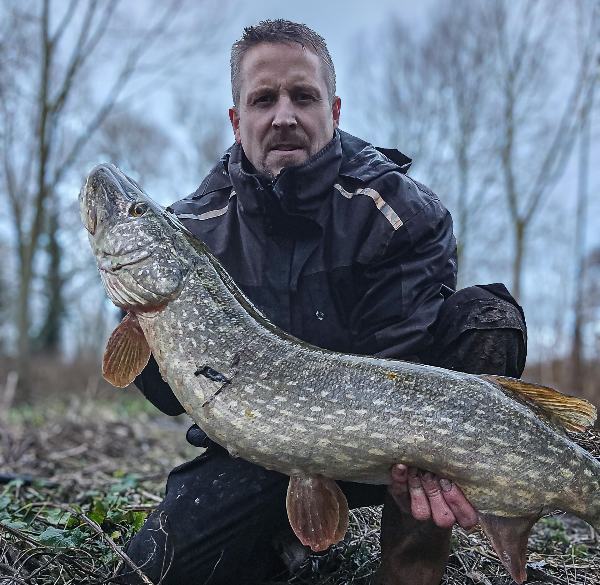 River stour pike 20lb 7oz lure caught 23cm lmab kofi perch in real perch design