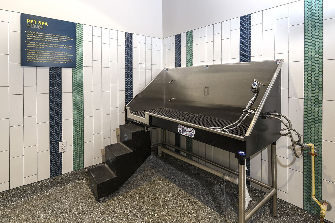 Pet washing station with stainless steel tub, steps, and tiled walls.