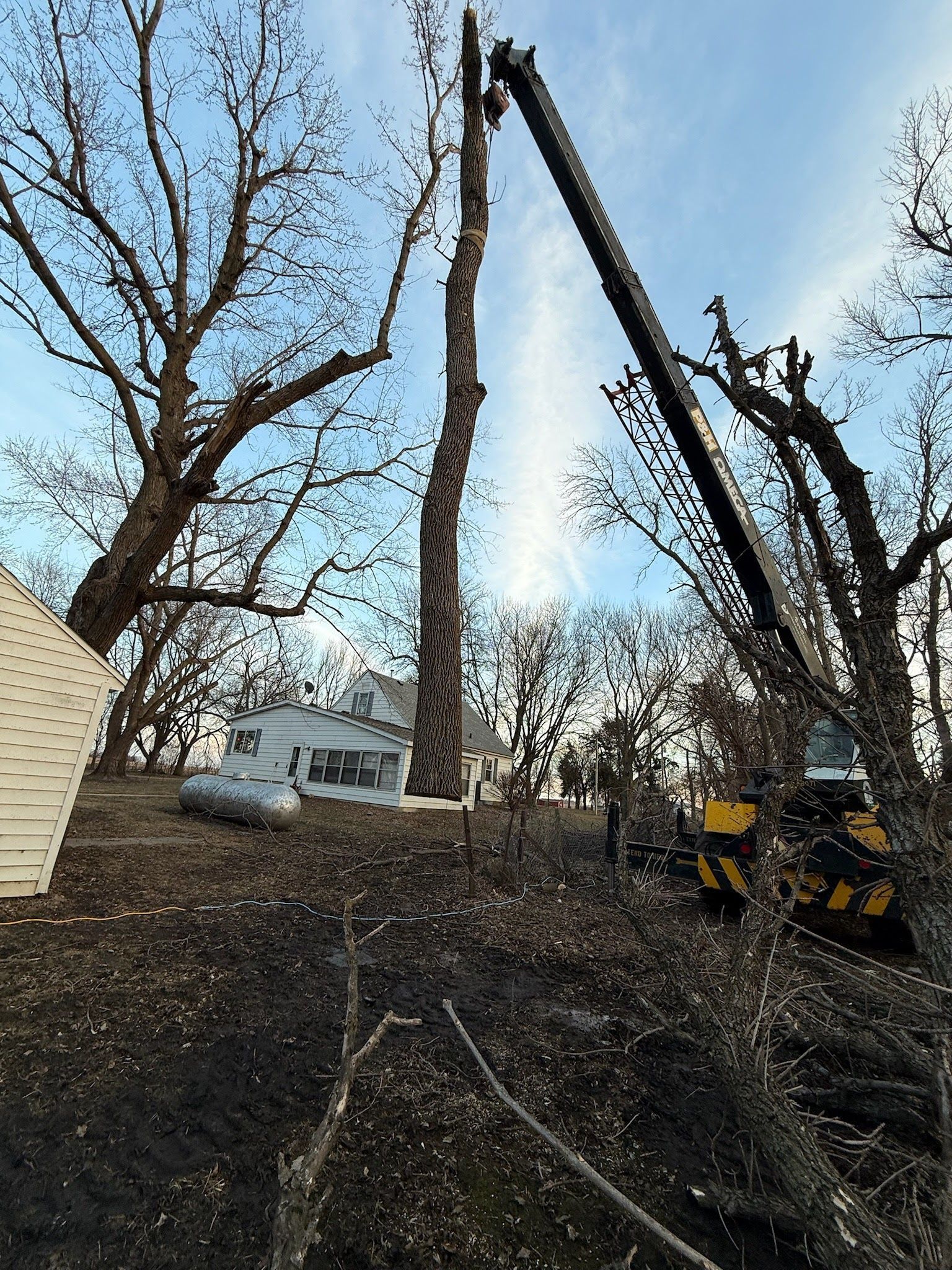A pile of logs sitting on top of each other in a forest.