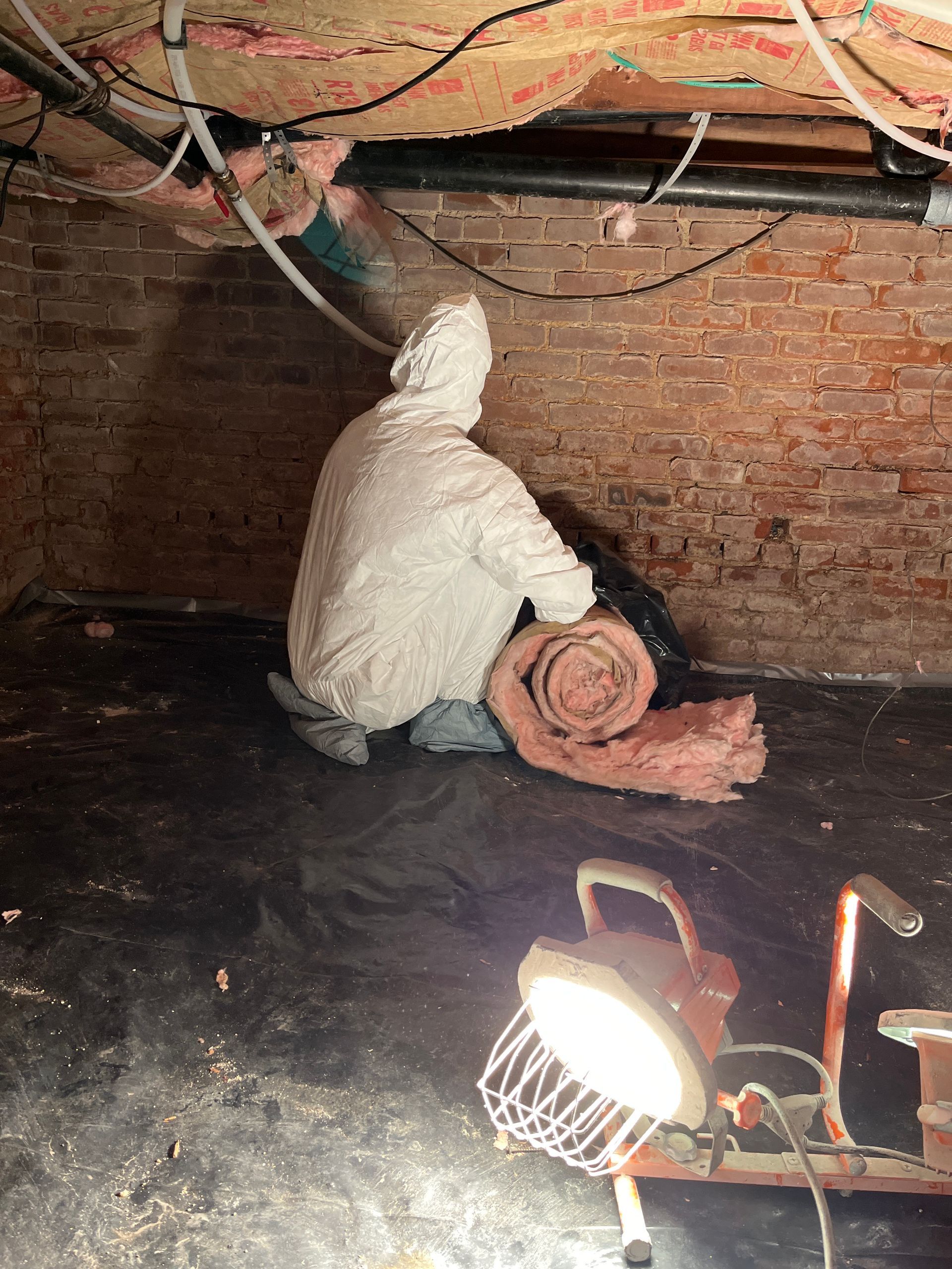 crawlspace mold work.