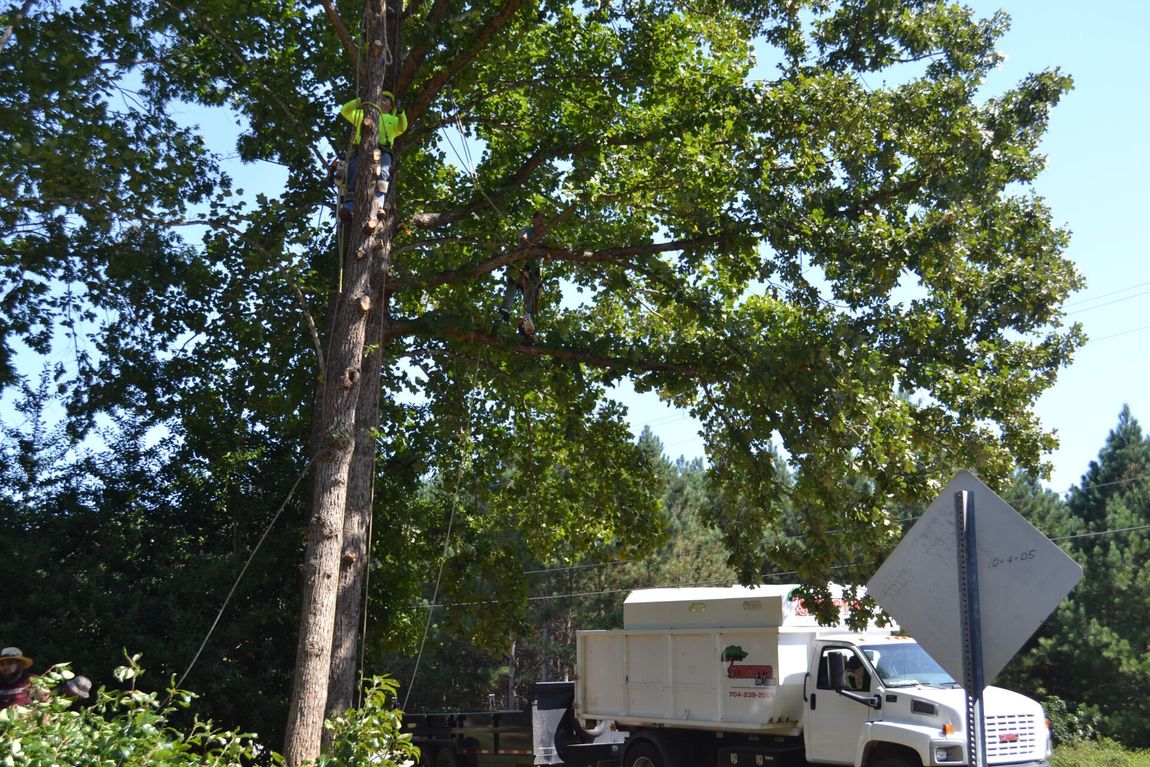 Stumpy's Tree Service - Tree Service in Lake Norman