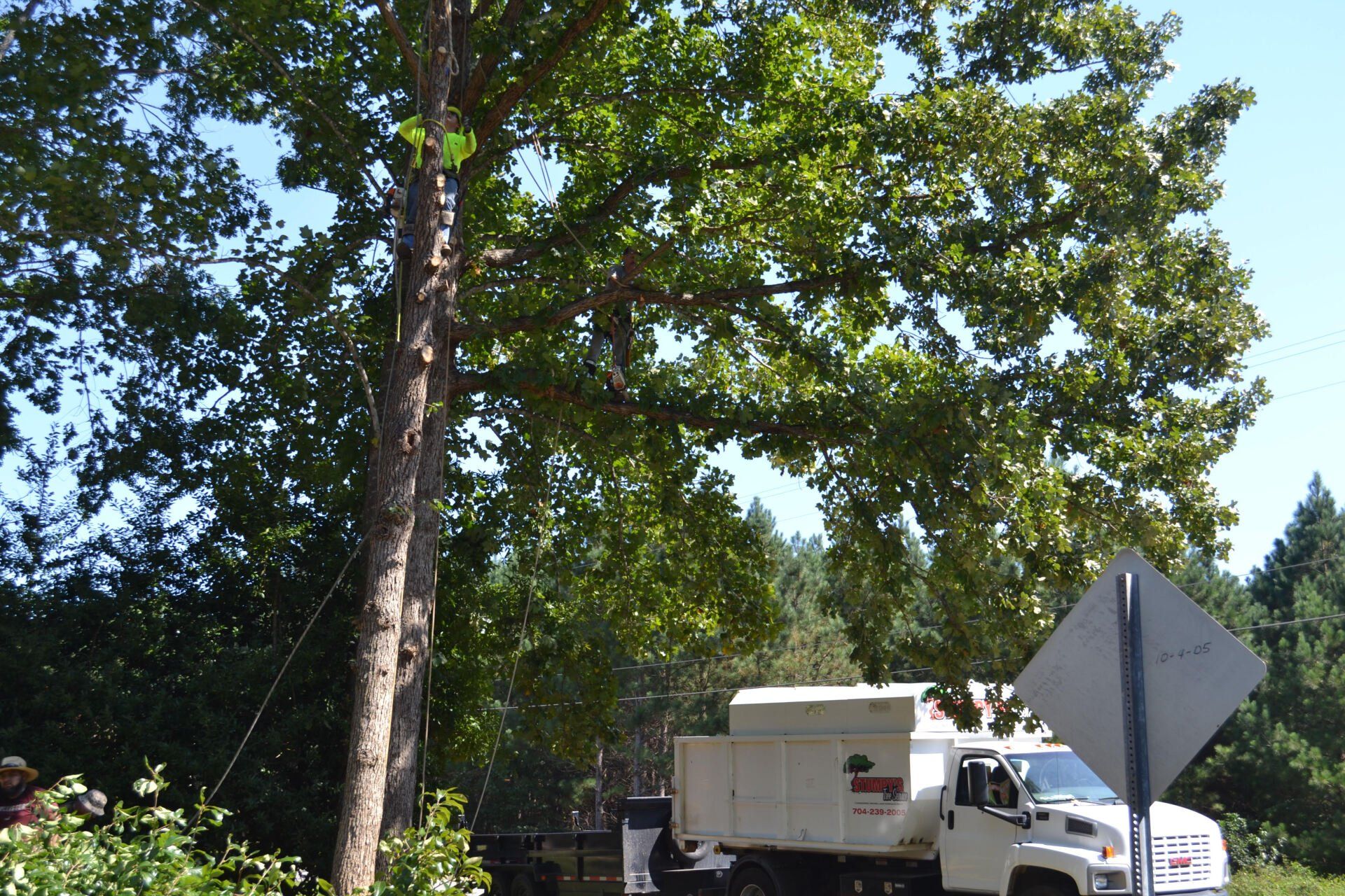 Stumpy's Tree Services Our Services