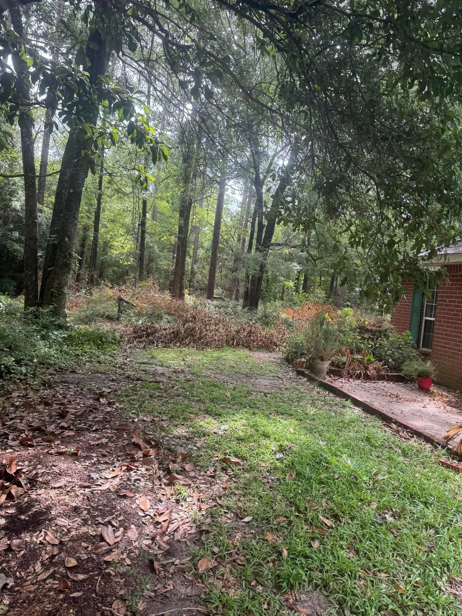 A house is surrounded by trees and leaves in the middle of a forest.