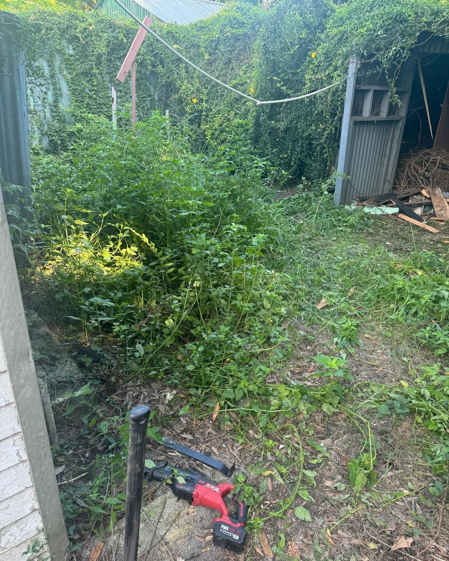A red lawn mower is sitting in the middle of a lush green yard.