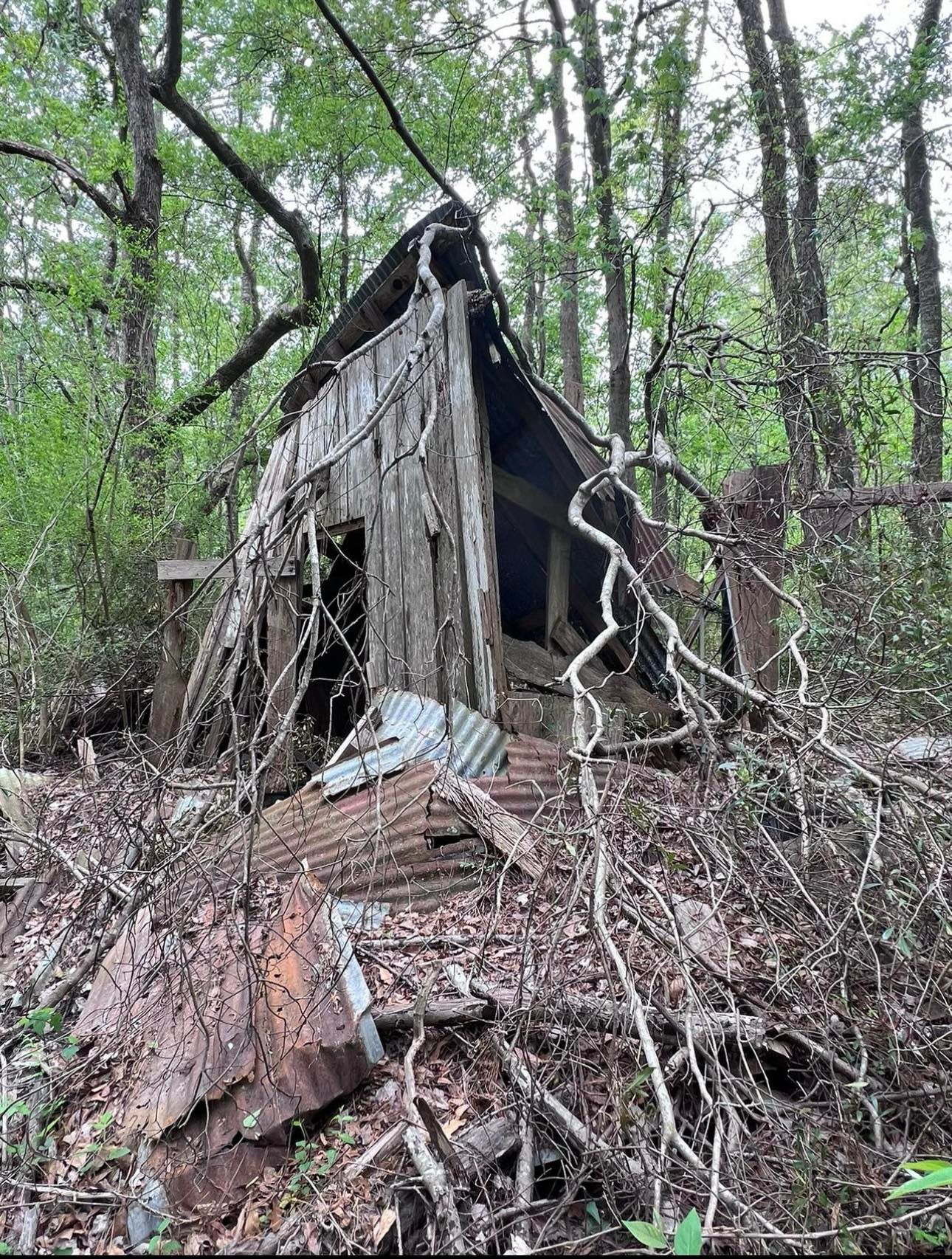 An old wooden hut is sitting on top of a pile of trash in the woods.