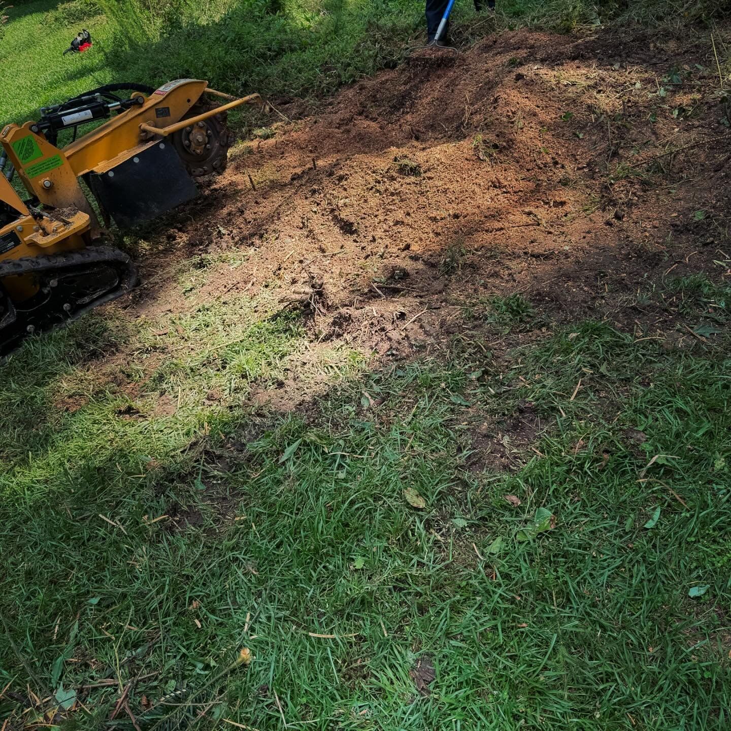 A stump grinder is cutting a tree stump in the grass.