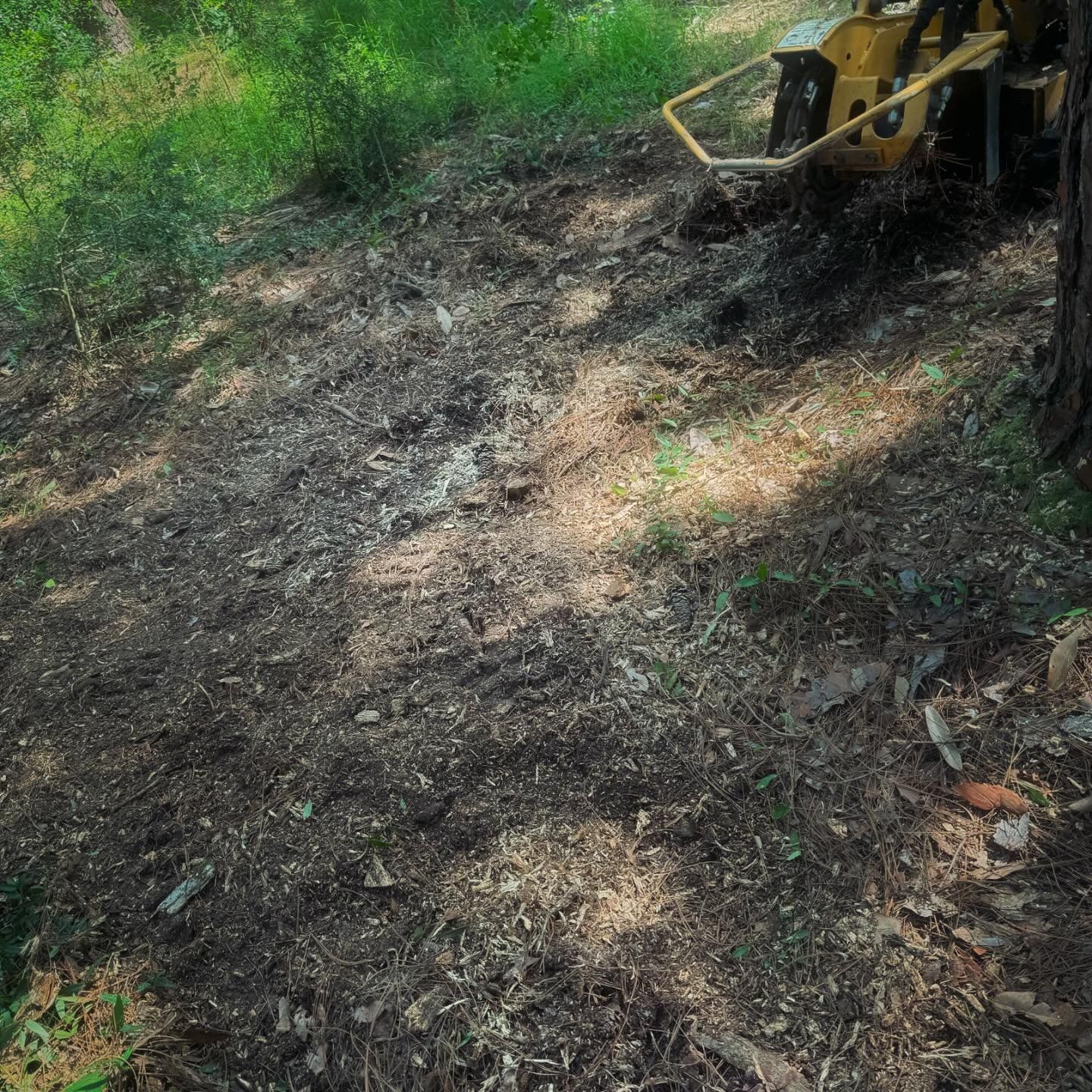 A tractor is stump grinding a tree in the woods.