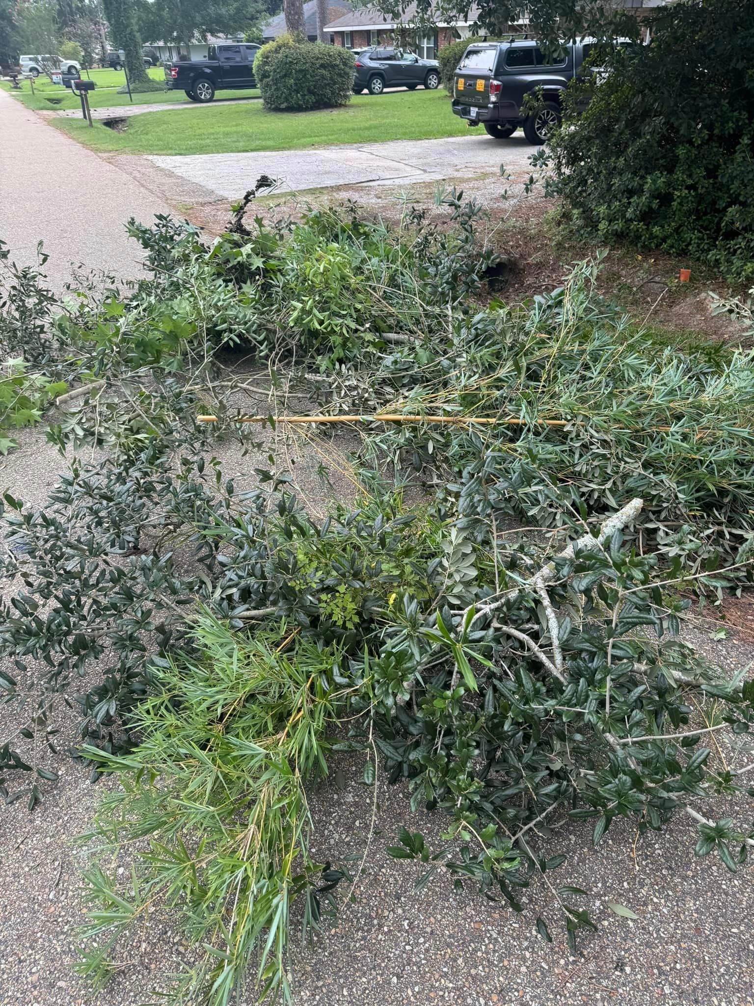 A pile of branches and leaves on the side of a road.