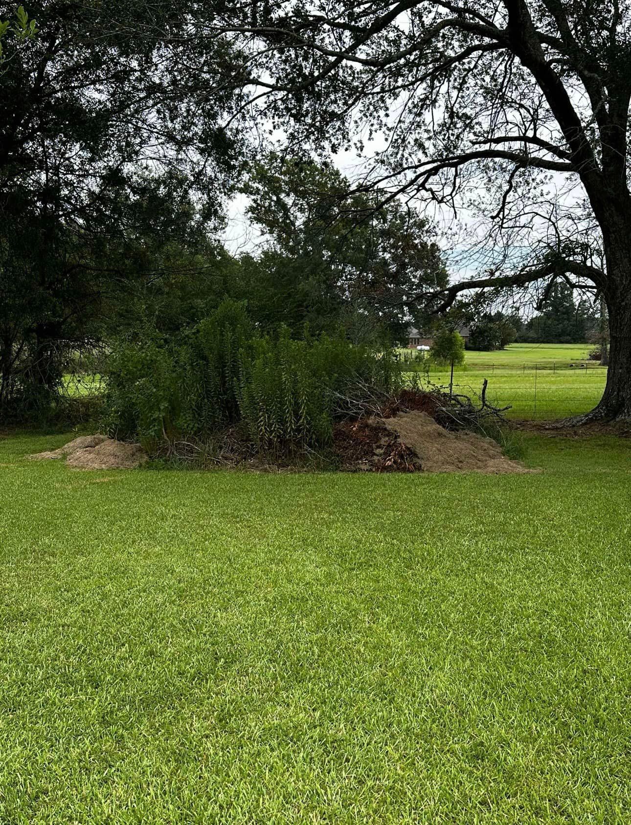 A large lush green field with trees in the background.