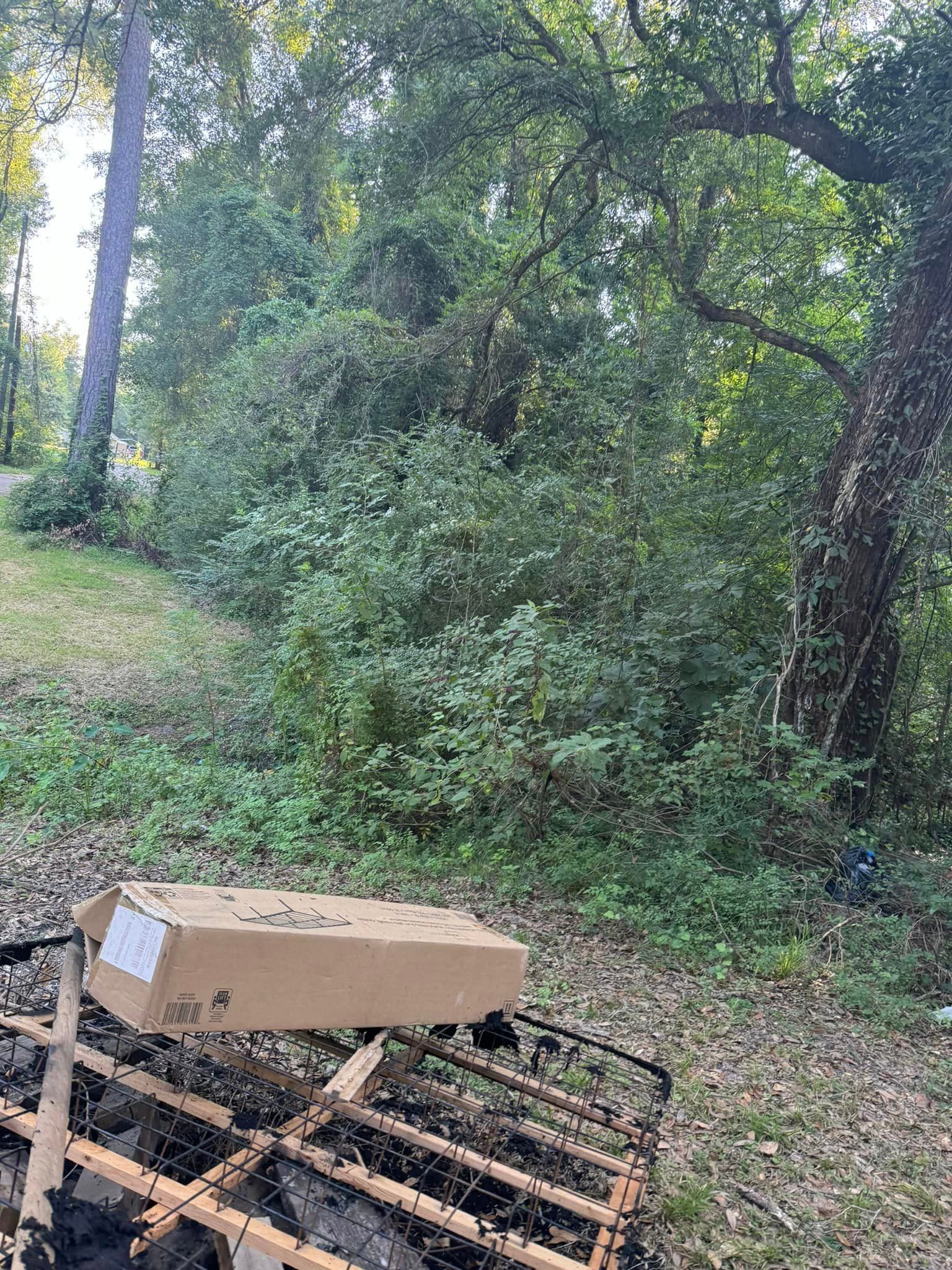 A cardboard box is sitting on top of a wooden pallet in the middle of a forest.