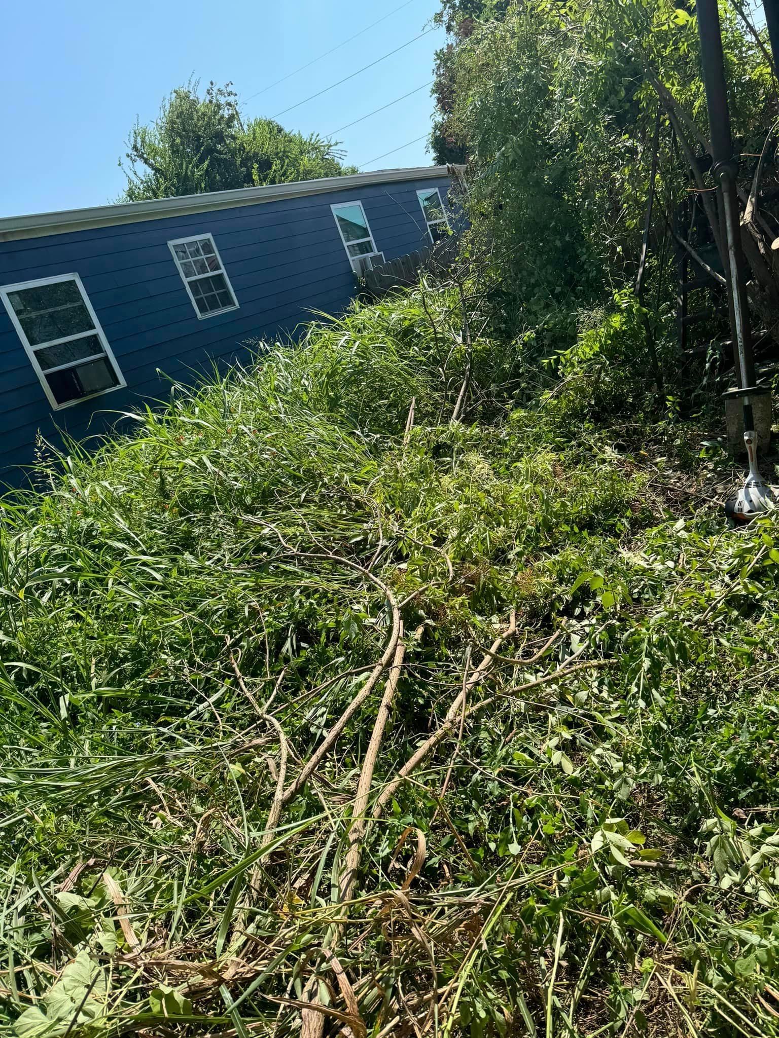 There is a house in the background and a lot of grass in the foreground.