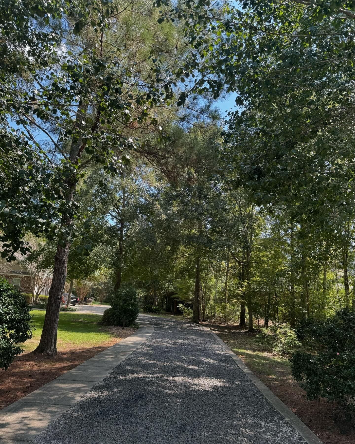 A gravel driveway surrounded by trees on a sunny day.