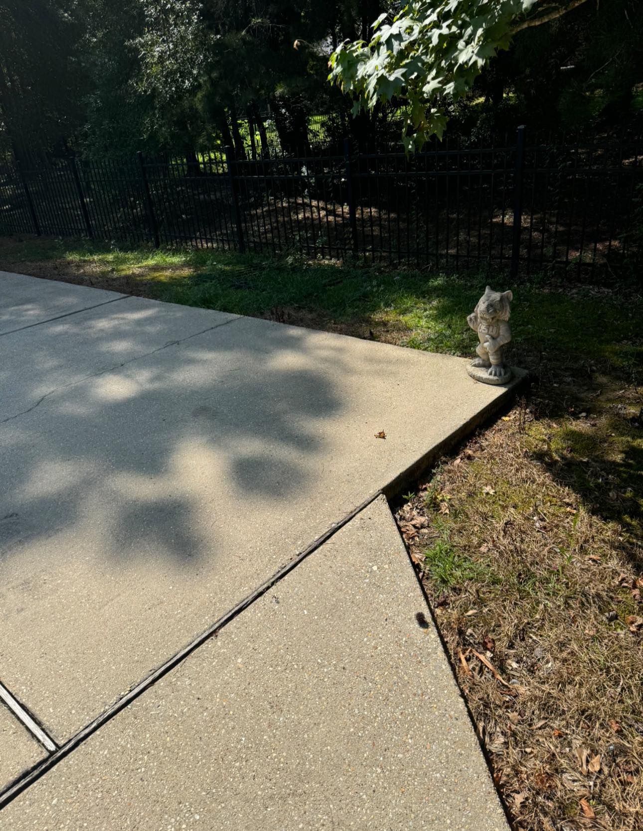 A shadow of a tree is cast on a concrete sidewalk.