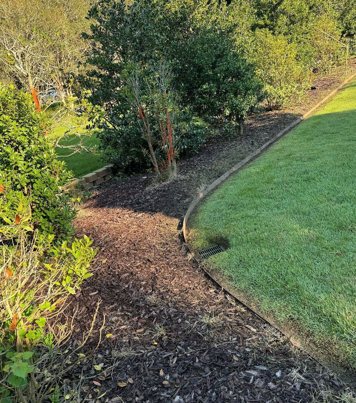 A path leading to a lush green field with trees and mulch.