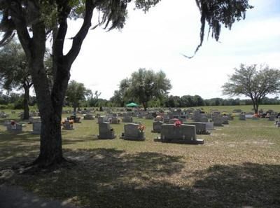 Cemetery with numerous gravestones under trees, bright sunlight.