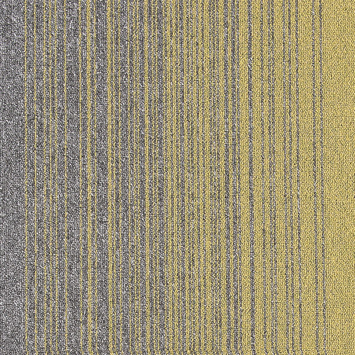 COBALT CREATIONS 6384290