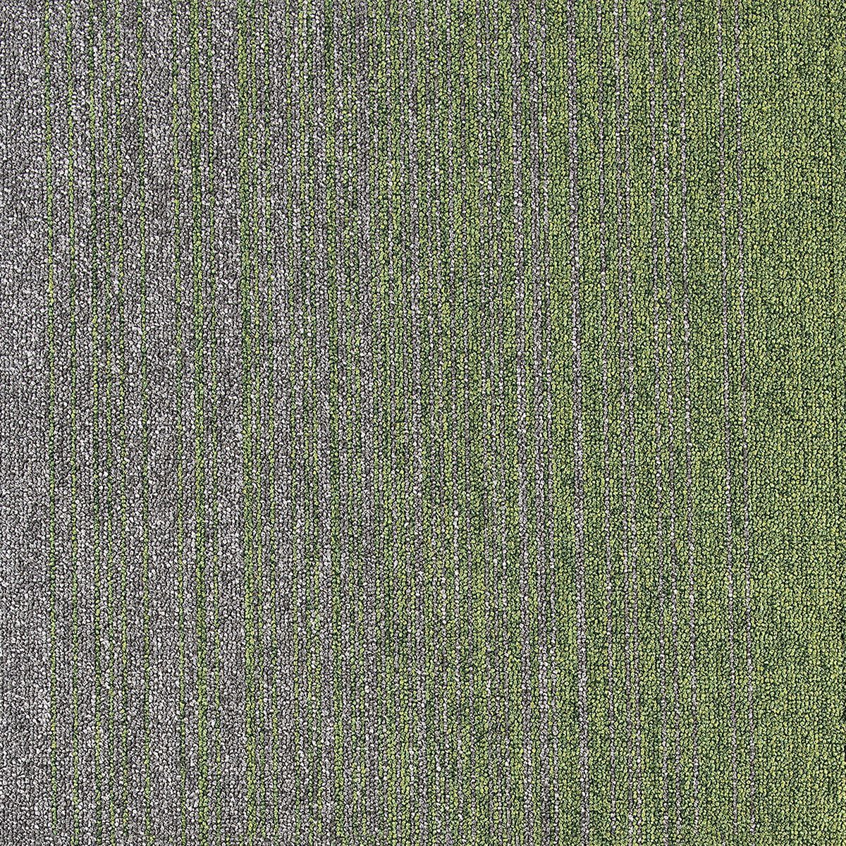 COBALT CREATIONS 6384273