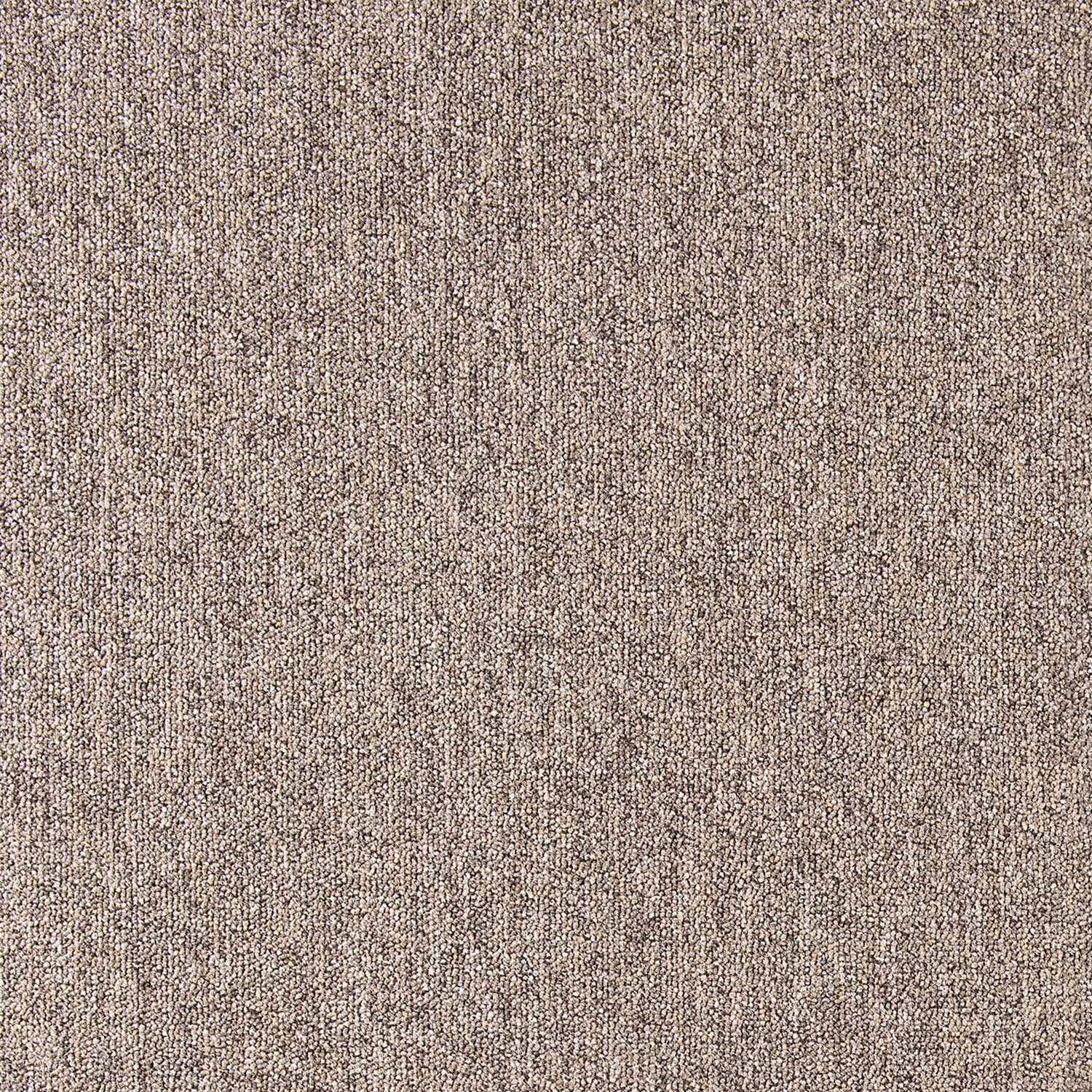 COBALT COL BRÚNT 100% PA