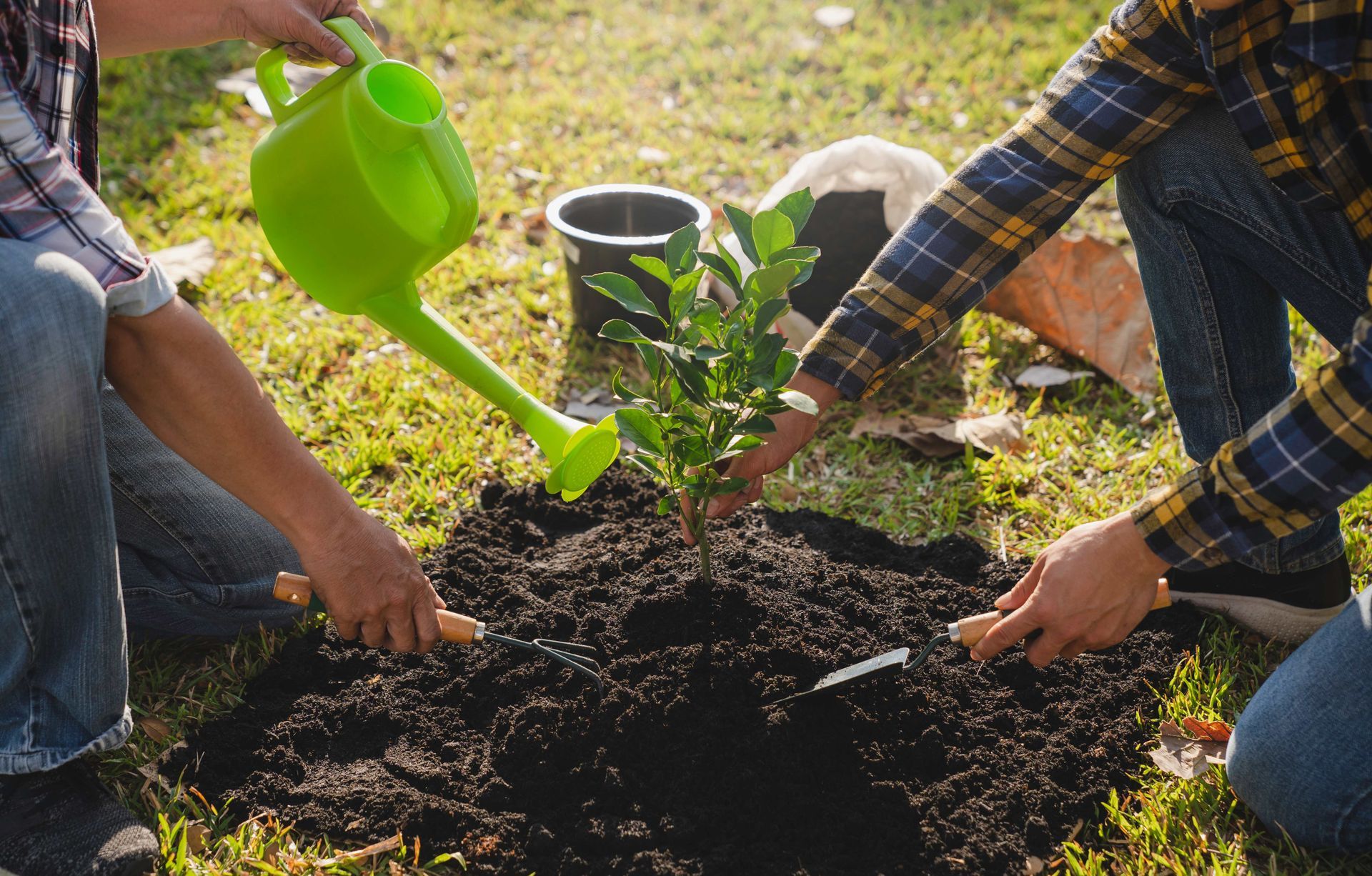 a man is watering a tree while another man is planting a tree