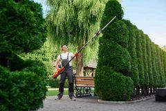 a man is cutting a tree with a hedge trimmer in a park