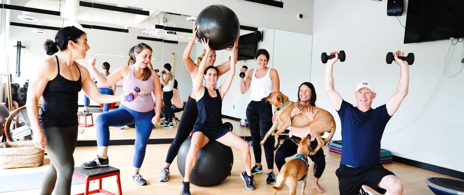 A group of people are doing exercises in a gym with their dogs.