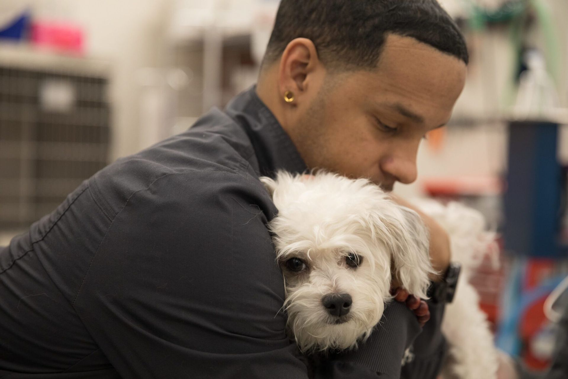 Dog Arthritis Symptoms And Treatment