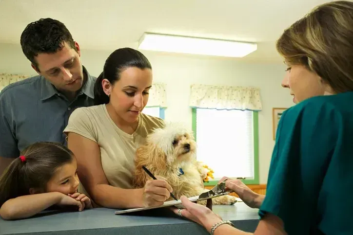 Veterinary Jobs: Common Questions and Answers, Salaries and More