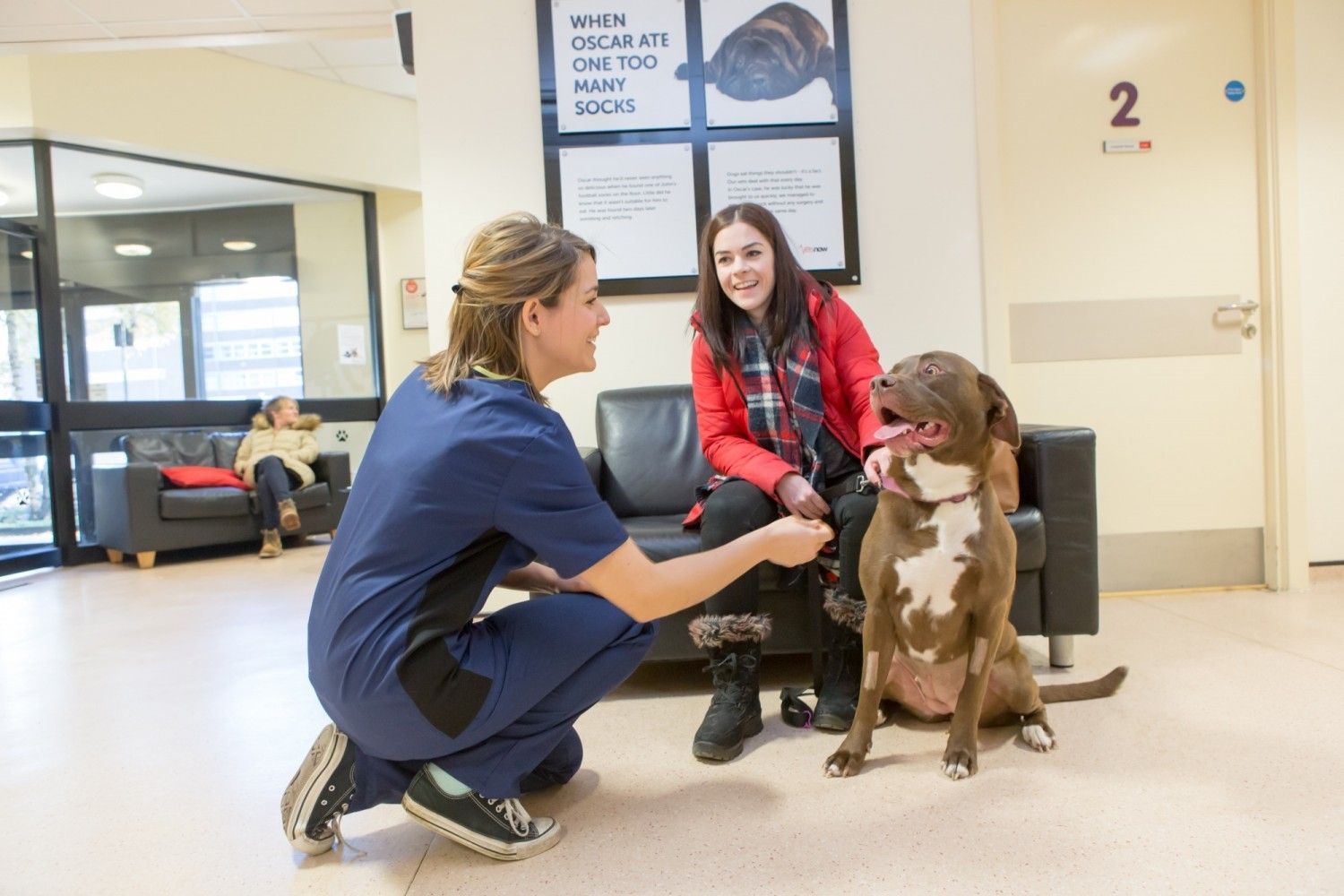 What to Expect at 24/7 Local Veterinarian