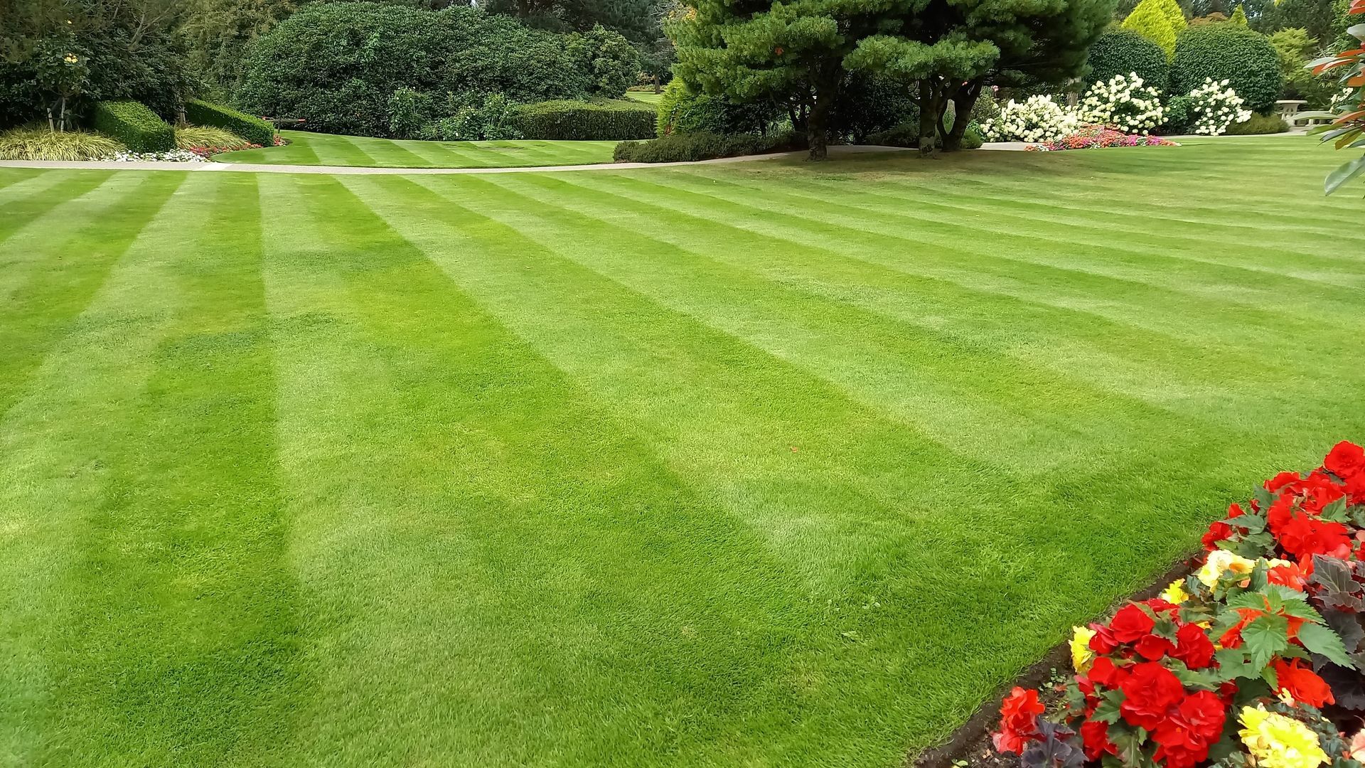 Lawn with green stripes, red flowers in the foreground, trees in the background.