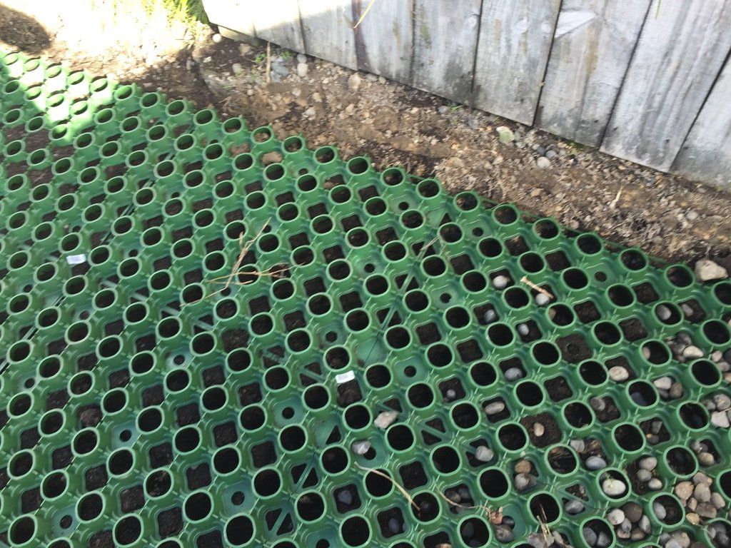 property maintenance auckland