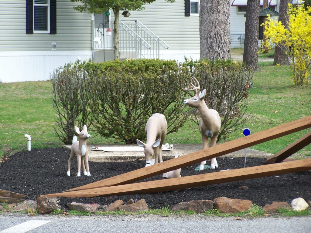 Senior Mobile Home Park